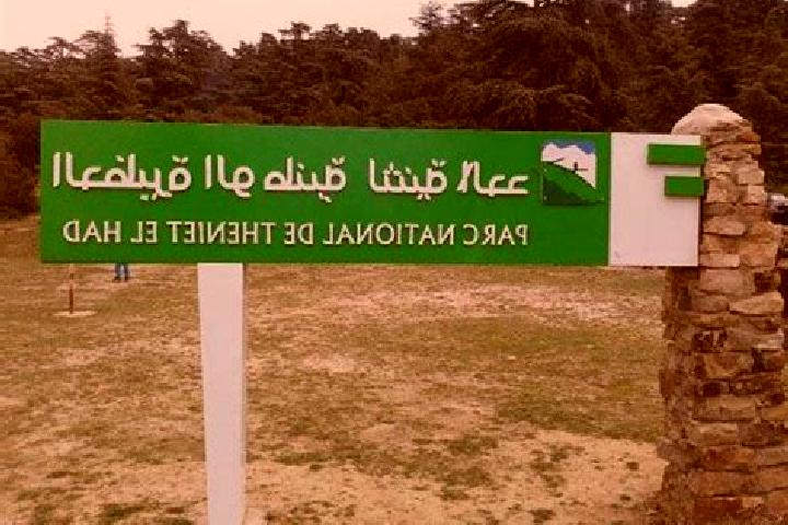 escort Theniet el Had
