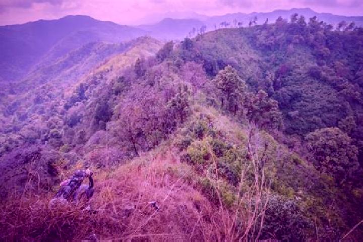 escort Thong Pha Phum