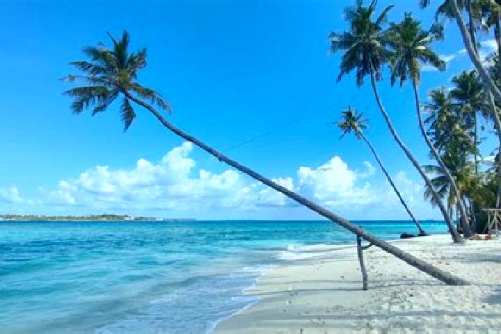 escort Thulusdhoo
