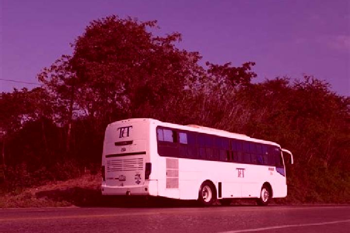 escort Tihuatlan