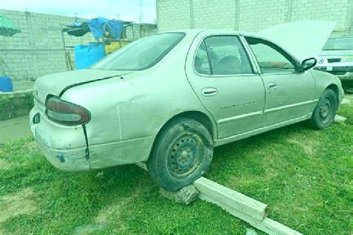 escort Tlaxcoapan