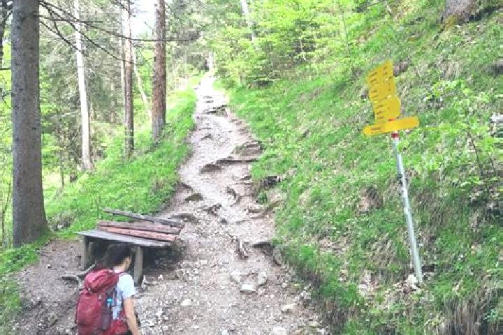 escort Toess (Kreis 4) / Steig