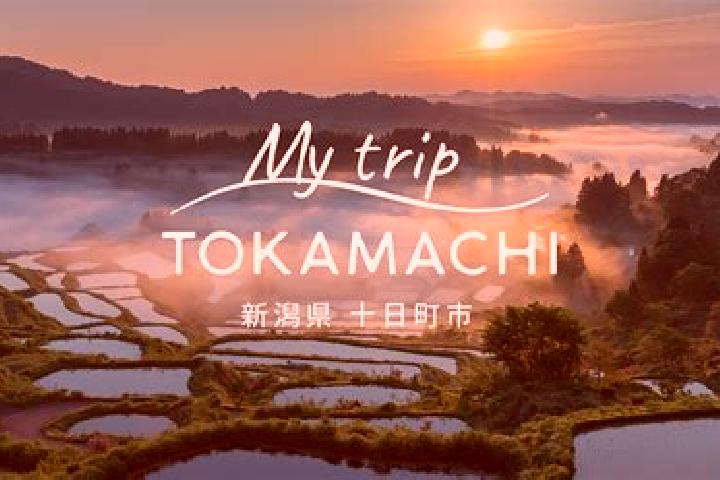 escort Tokamachi