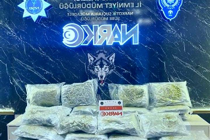 escort Tokat