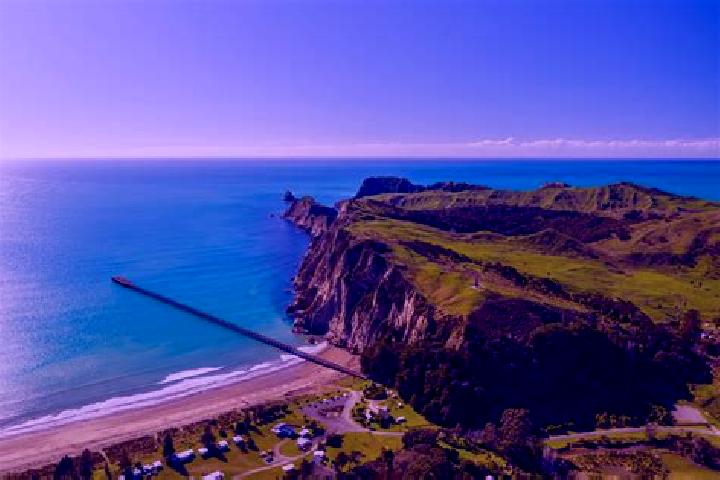 escort Tolaga Bay