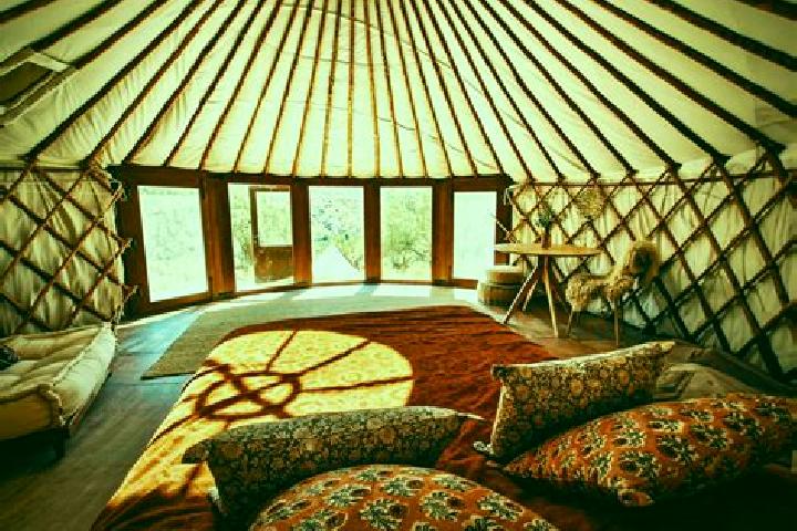 escort Tolstoy-Yurt