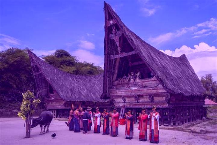 escort Tomok Bolon