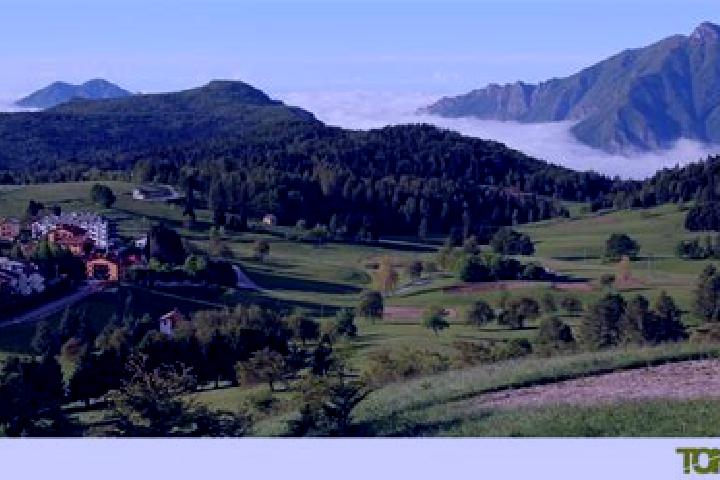 escort Tonezza del Cimone