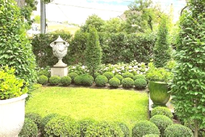 escort Toorak Gardens