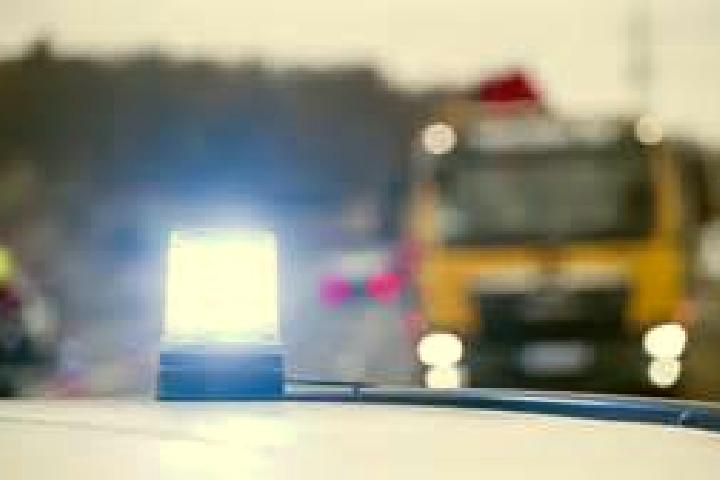 escort Toppenstedt