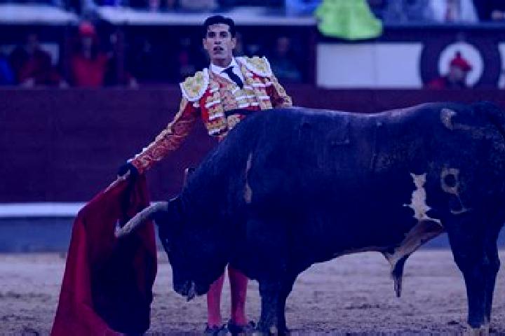 escort Toreo Bajo (El Toreo Bajo)
