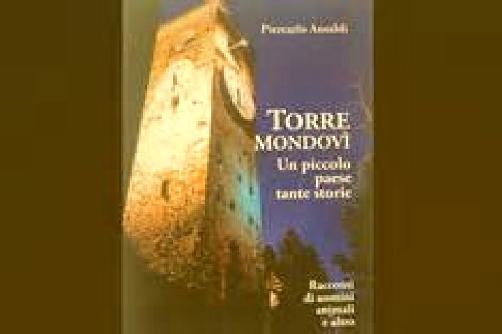 escort Torre Mondovi