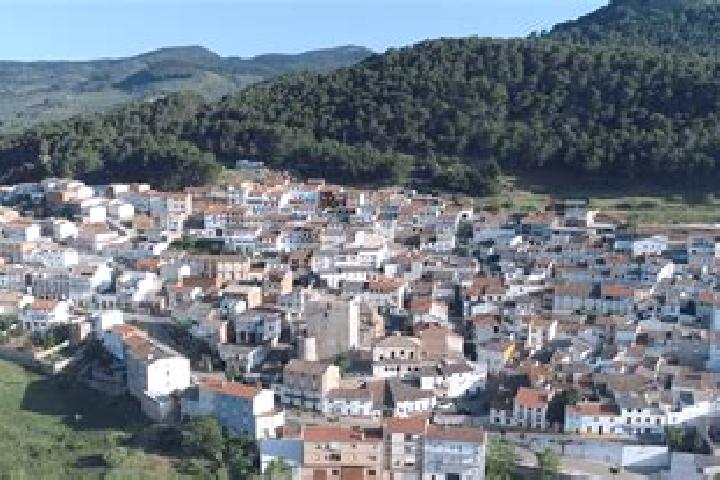 escort Torres de Albanchez