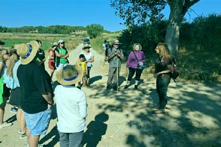 escort Torres de Barbues