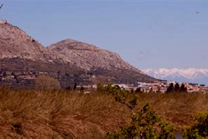 escort Torroella de Montgri