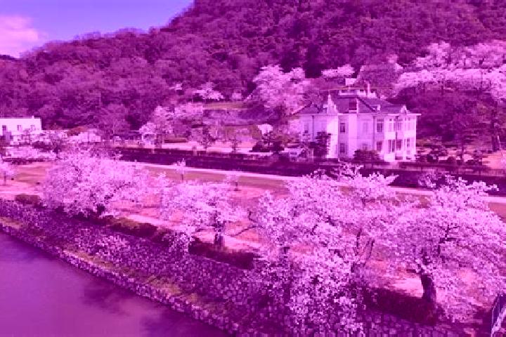 escort Tottori-shi