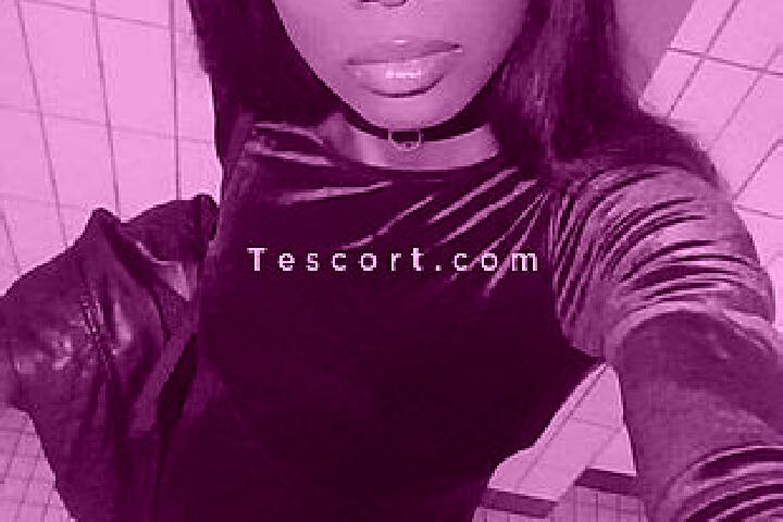 escort Tours