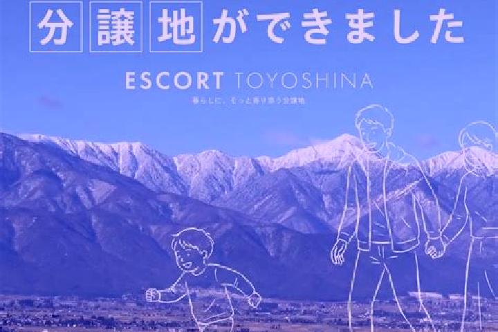 escort Toyoshina