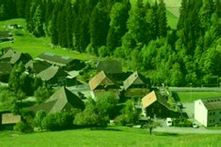 escort Trachselwald