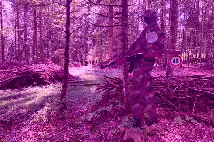 escort Trans-la-Foret