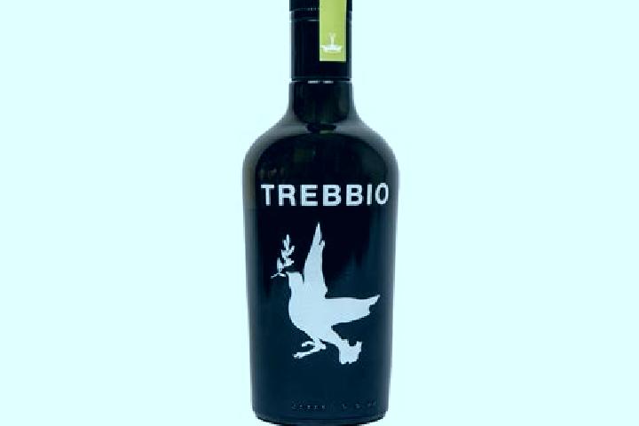 escort Trebbio