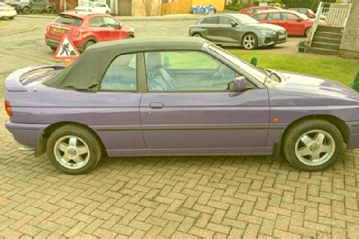 escort Treben