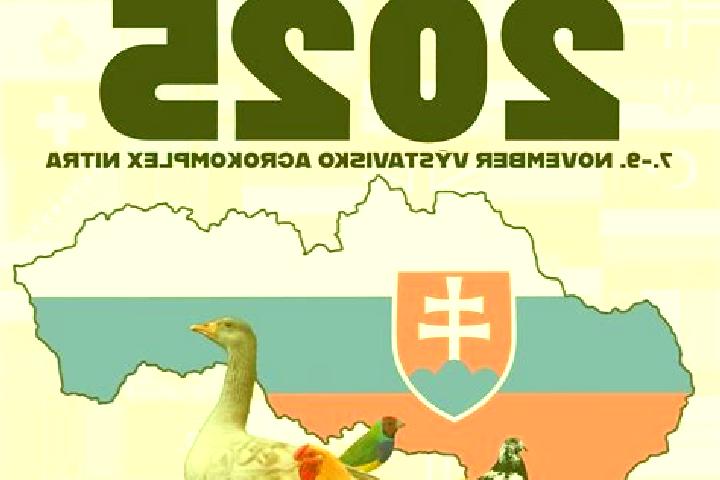 escort Trencianska Turna