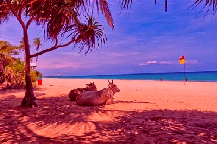 escort Trincomalee