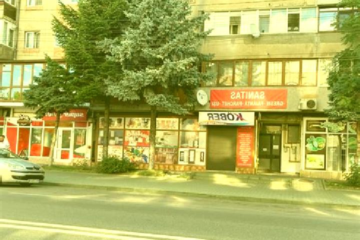 escort Trivalea-Mosteni