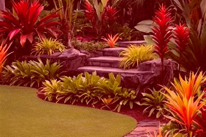 escort Tropical Gardens