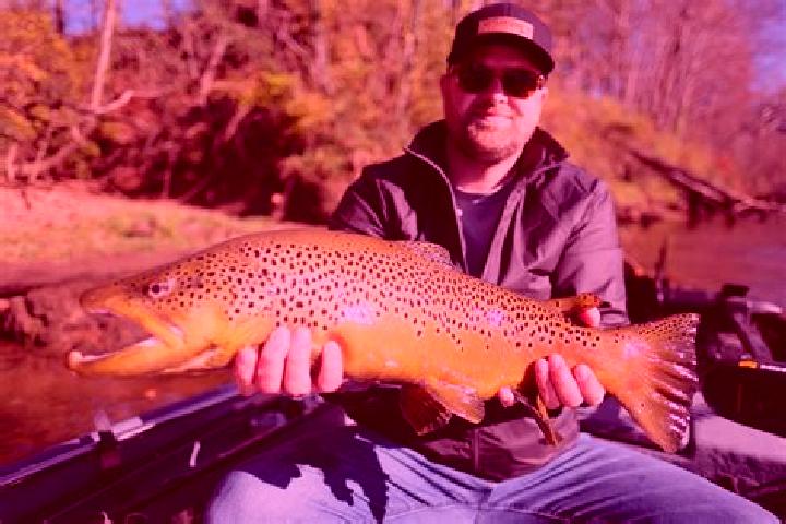 escort Trout River