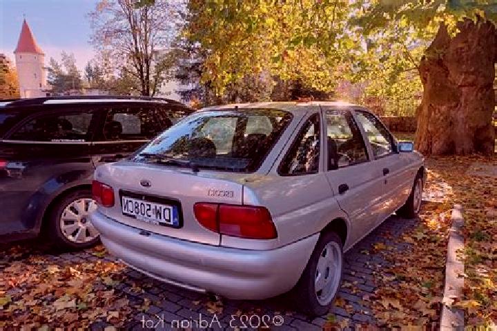 escort Trullikon