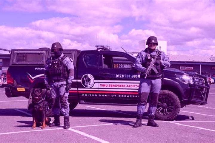 escort Tsu