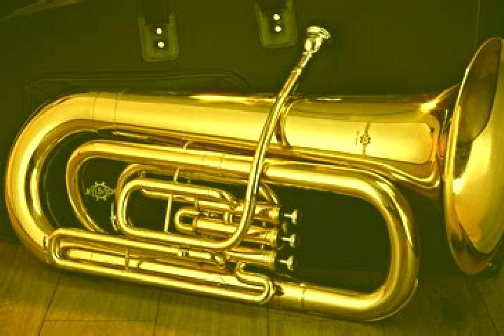 escort Tuba-Wuli