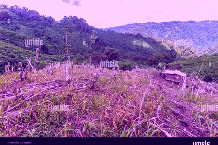 escort Tumarbong