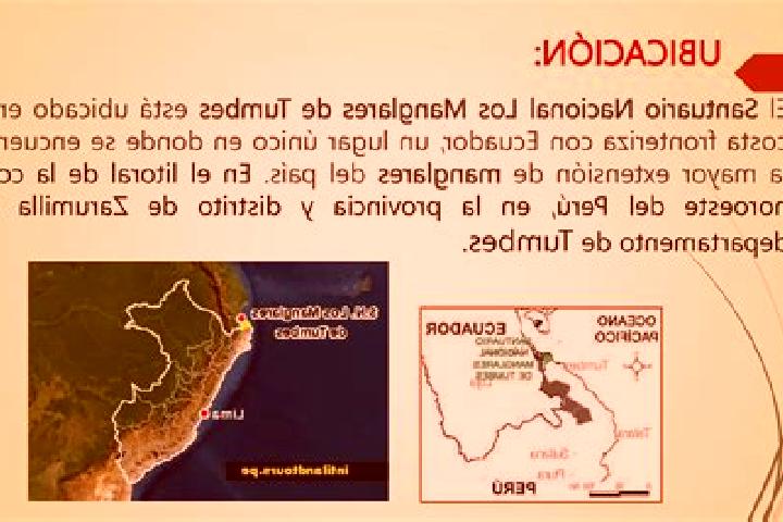 escort Tumbes
