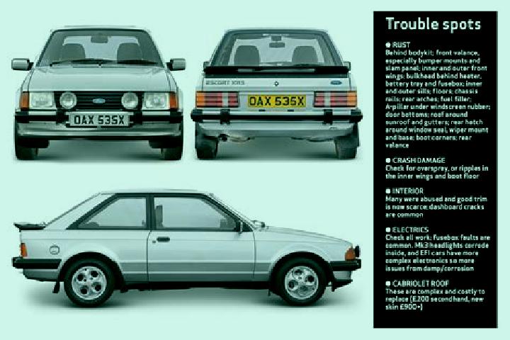 escort Tuni