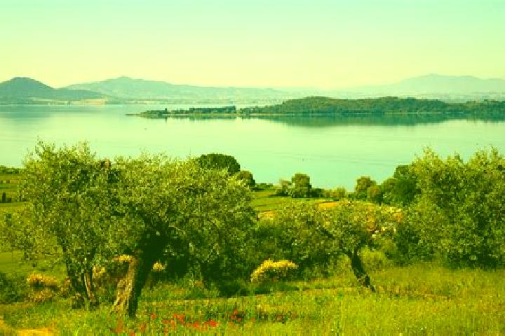 escort Tuoro sul Trasimeno
