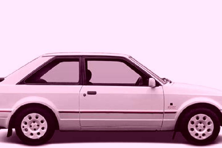 escort Turtas