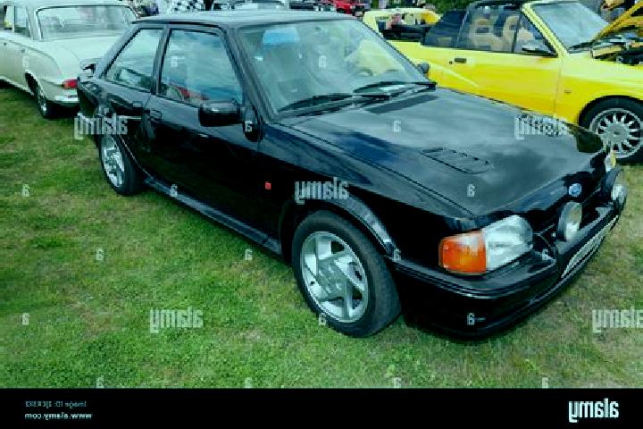 escort Tutak