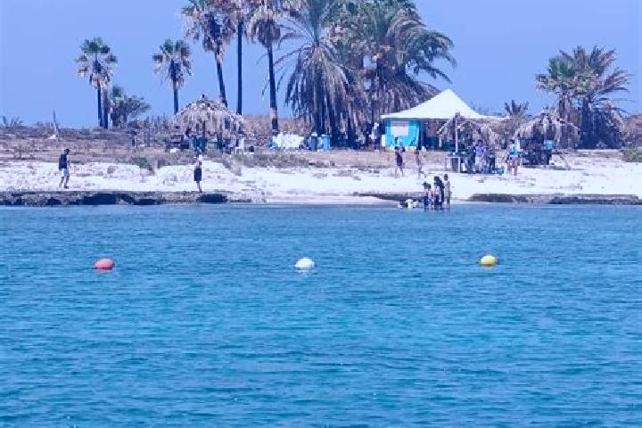 escort Umm al Aranib