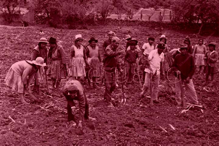 escort Unidad Familiar Confederacion de Trabajadores Campesinos