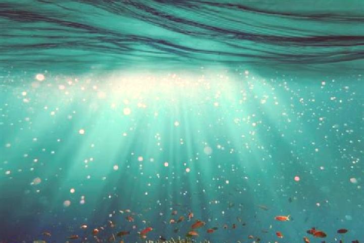 escort Unterwasser