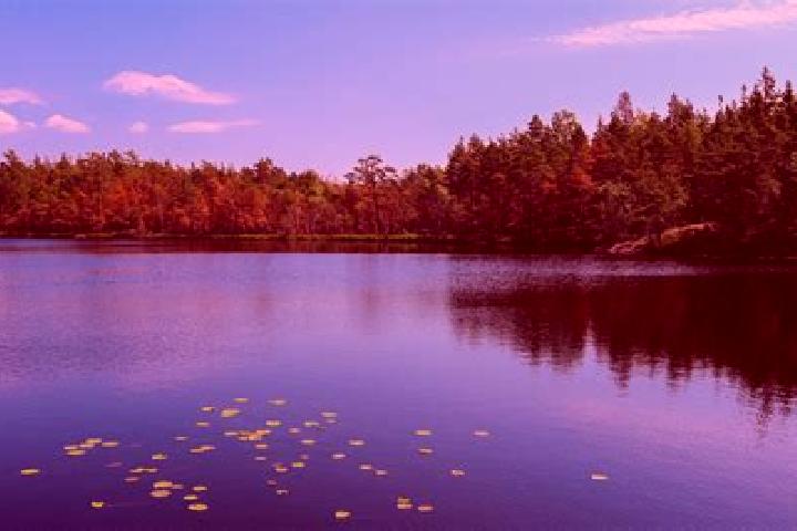 escort Upper Lake