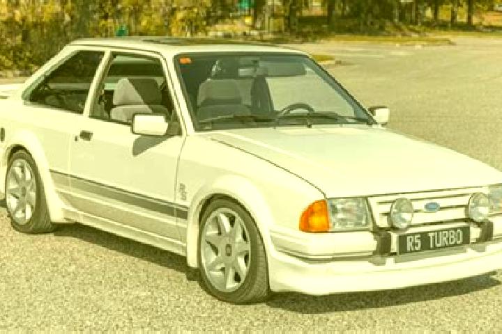 escort Ursoaia