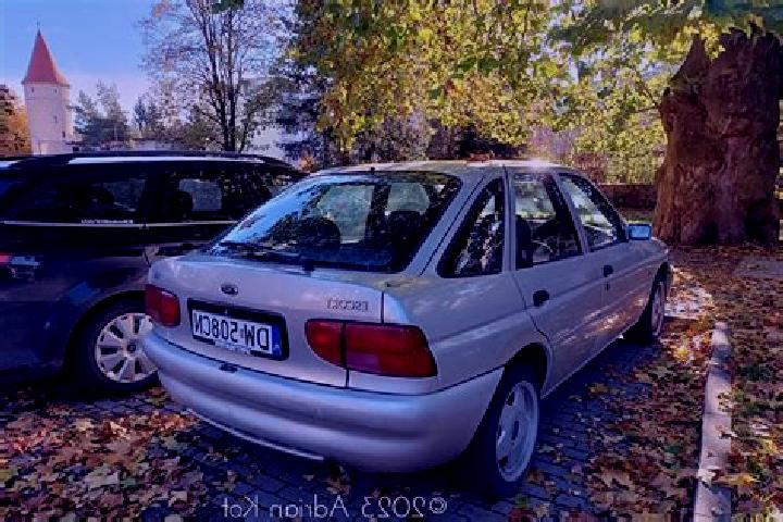 escort Uslar