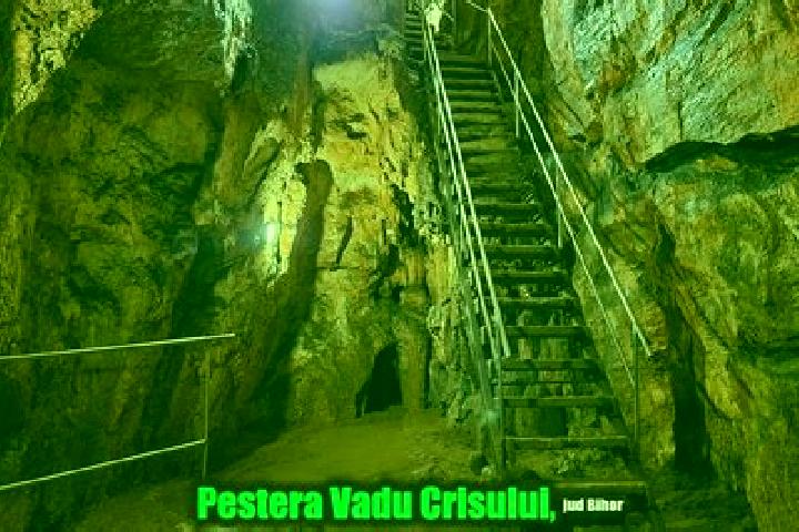 escort Vadu Crisului