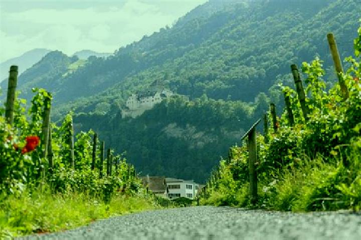 escort Vaduz