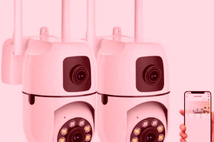 escort Vaida-Camaras