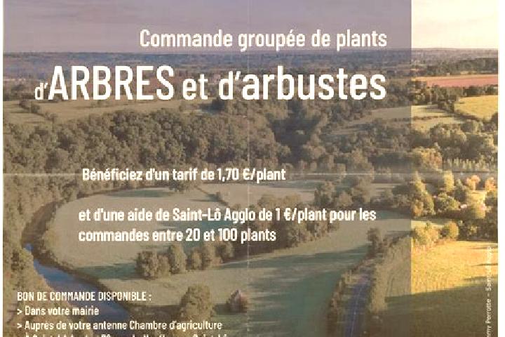 escort Val-des-Arbres